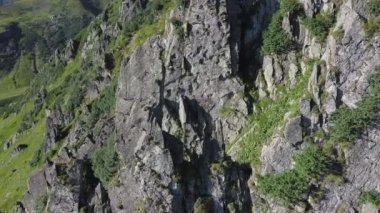Karpatya dağlarındaki Spitz dağının kayalık zirvesi, yaz dağlarının manzarası..
