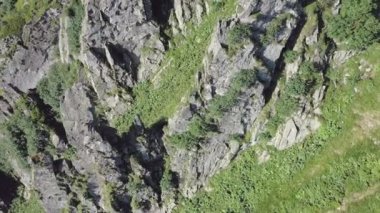 Karpatya dağlarındaki Spitz dağının kayalık zirvesi, yaz dağlarının manzarası.