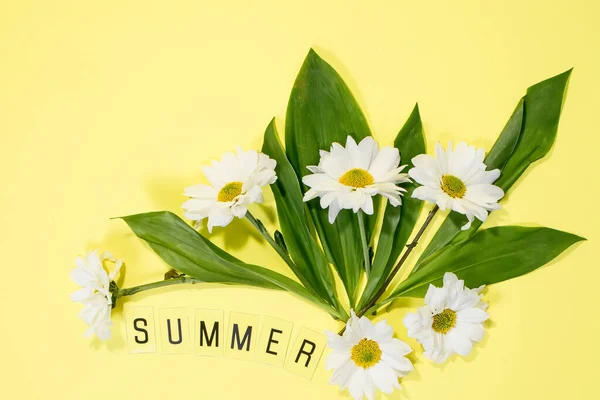 Text Summer Från Bokstäver Och Fält Kamomill Blommor Gul Bakgrund — Stockfoto