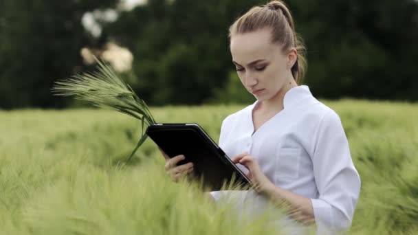 Biólogo Vestindo Roupão Branco Está Verificando Progresso Colheita Tablet Campo — Vídeo de Stock