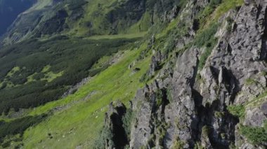 Karpatya dağlarındaki Spitz dağının kayalık zirvesi, yaz dağlarının manzarası.