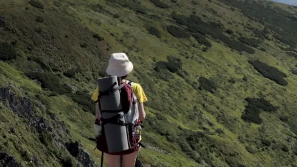 女人漫步在喀尔巴阡山顶上的什皮西山上 旅游体育生活方式概念 — 图库视频影像