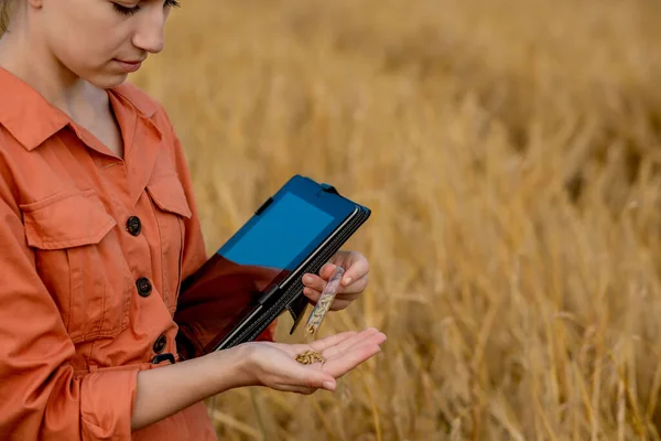Γεωπόνος Αγρότης Ψηφιακό Υπολογιστή Tablet Στον Τομέα Του Σιταριού Χρησιμοποιώντας — Φωτογραφία Αρχείου