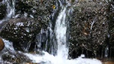 Ormandaki şelale. Orman manzarası