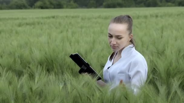 Biologe Weißen Bademantel Überprüft Grünen Weizenfeld Mit Einem Tablet Den — Stockvideo
