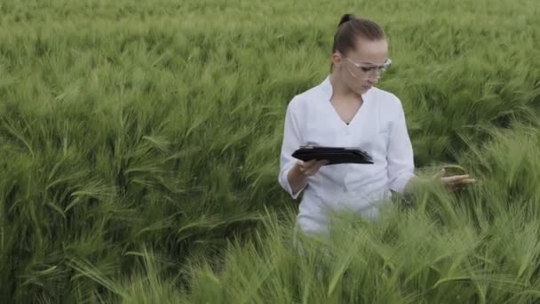 Beyaz Bornoz Giyen Biyolog Yeşil Buğday Tarlasındaki Bir Tablette Hasat — Stok video