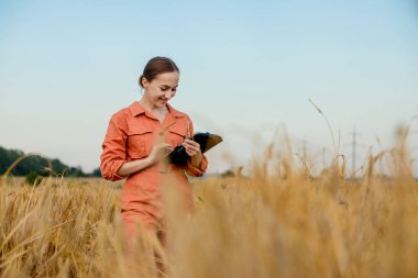 Buğday tarlasında tablet bilgisayarlı beyaz tenli teknoloji uzmanı kadın tarım için ürün kalitesini ve büyümesini kontrol ediyor. Tarım ve hasat kavramı
