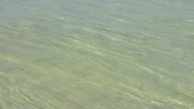 Deniz kıyısında büyük dalgalar kopuyor. Temiz su. Deniz Burnu.