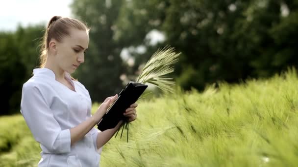 Biologist Wearing White Bathrobe Checking Harvest Progress Tablet Green Wheat — Stock Video
