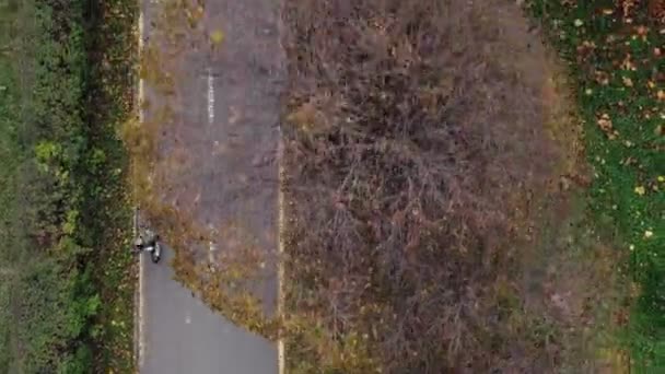 Vista Aérea Criança Andar Bicicleta Parque Outono Desporto Ativo Lazer — Vídeo de Stock