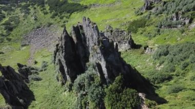 Karpat Dağları 'ndaki Spitzy Dağı' nın kayalık zirvesi, yaz dağlarının manzarası..