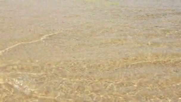 Stora Vågor Bryter Havets Strand Klart Vatten Havsutsikt — Stockvideo