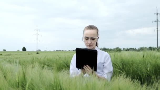 身穿白色浴衣的生物学家正在绿色麦田里检查一块石碑的收获进度 小麦的新品种正在生长 农业和农场概念 — 图库视频影像