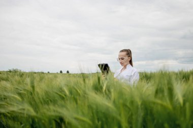 Beyaz bornoz giyen genç bir çiftçi yeşil buğday tarlasında hasat sürecini kontrol ediyor. Yeni buğday ekinleri büyüyor. Tarım ve tarım kavramı
