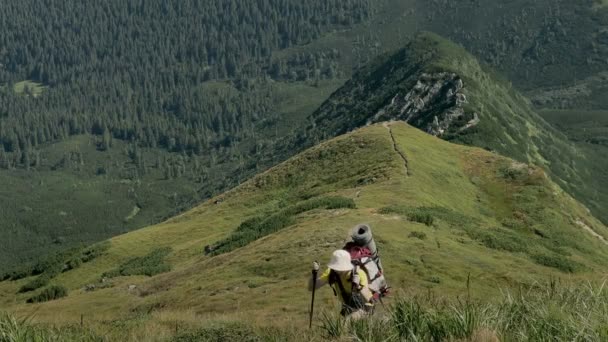 女性観光客の山の上を歩く ハイカーは人生の風光明媚な自然景観をお楽しみください 夏休み旅行の冒険 バックパッカートレッキング山夏のハイキング — ストック動画
