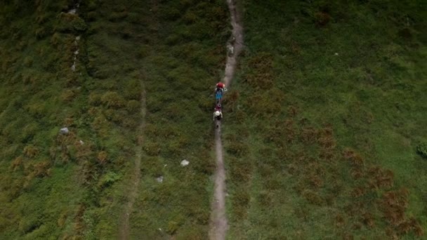 Twee Wandelaars Met Rugzakken Lopen Langs Bergketen Karpaten — Stockvideo