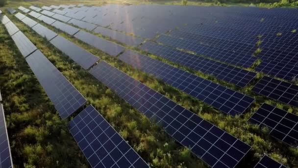 Vista Una Planta Energía Solar Filas Paneles Solares Paneles Solares — Vídeos de Stock