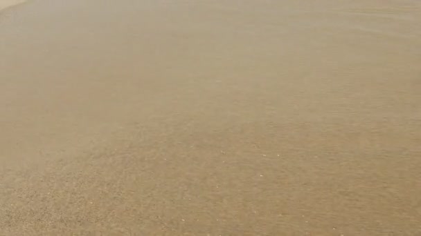海の岸に大きな波が打ち寄せる 澄んだ水 — ストック動画