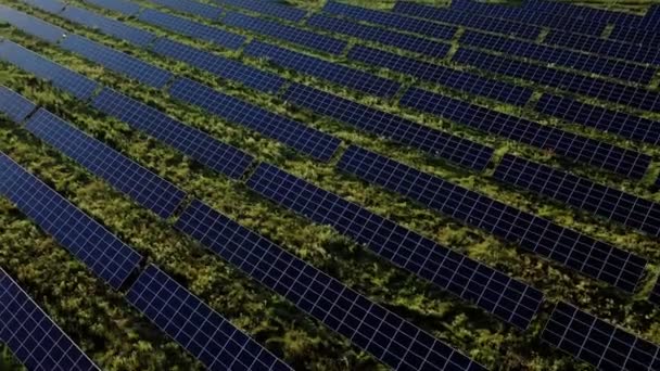日落时位于田野里的一个巨大的光伏发电站的顶部视图 太阳能发电厂 生态清洁能源 替代太阳能站 — 图库视频影像
