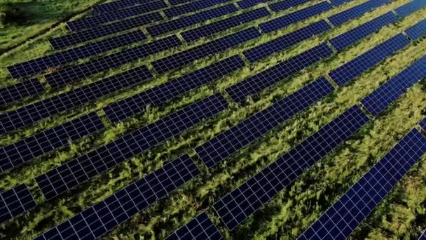 Bovenaanzicht Van Een Enorme Fotovoltaïsche Centrale Een Veld Bij Zonsondergang — Stockvideo