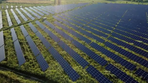 Vista aérea dos painéis solares Stand At Sunrise. Flyover Fields Green Energy Landscape. Conceito de Energia Elétrica, Ecologia, Inovação, Aquecimento Global — Vídeo de Stock