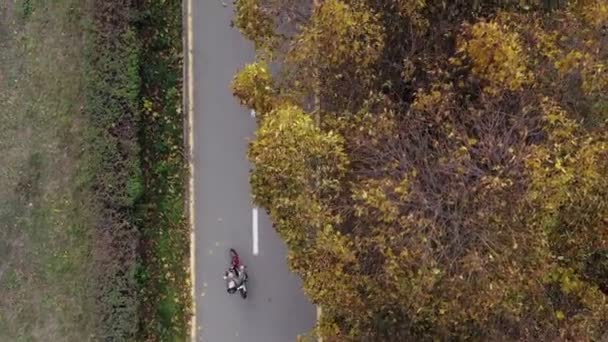Widok z lotu ptaka Jazda na rowerze w jesiennym parku. Aktywny sport rodzinny wypoczynek. Jazda rowerem po miejskiej ścieżce rowerowej. Zdrowy styl życia rowerzystów — Wideo stockowe