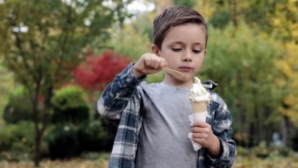 공원에서 아이스크림을 귀여운 어린이 — 비디오
