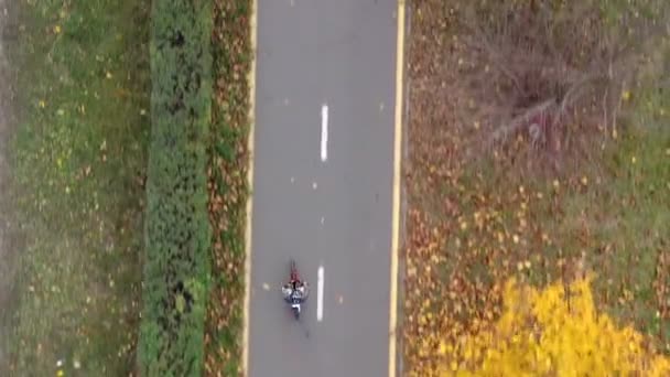 Vista Aerea Bambino Bicicletta Nel Parco Autunnale Tempo Libero Attivo — Video Stock