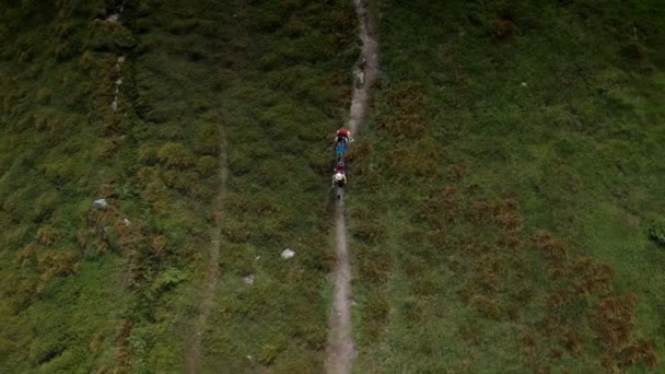 Sırt Çantalı Iki Yürüyüşçü Karpat Dağlarında Dağ Sıraları Boyunca Yürüyorlar — Stok video