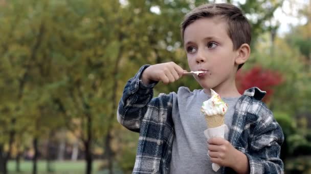 Criança Bonito Comer Sorvete Parque Dia Ensolarado Quente — Vídeo de Stock