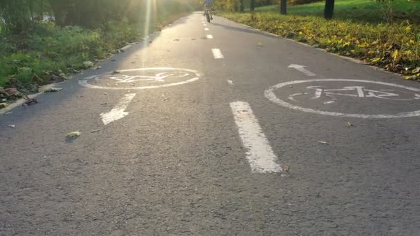 Boy Rides Bicycle Bicycle Path Autumm Park Sunset — Stockvideo