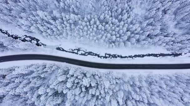 Вид Воздуха Зимнюю Дорогу Заснеженные Сосны — стоковое видео