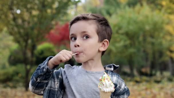 Cute Child Eating Ice Cream Park Warm Sunny Day — Stock Video