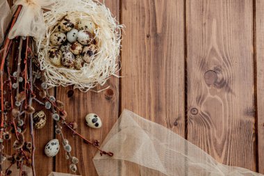 Yuvadaki Paskalya bıldırcın yumurtaları ve tahta arka plandaki söğüt dalları, boşluğu kopyala.