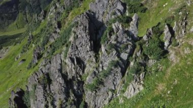 Karpatya dağlarındaki Spitz dağının kayalık zirvesi, yaz dağlarının manzarası.