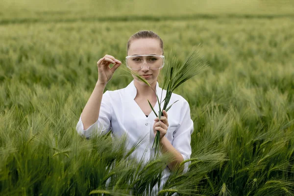 Ekolog Bílém Plášti Brýlích Zkoumá Rostliny — Stock fotografie