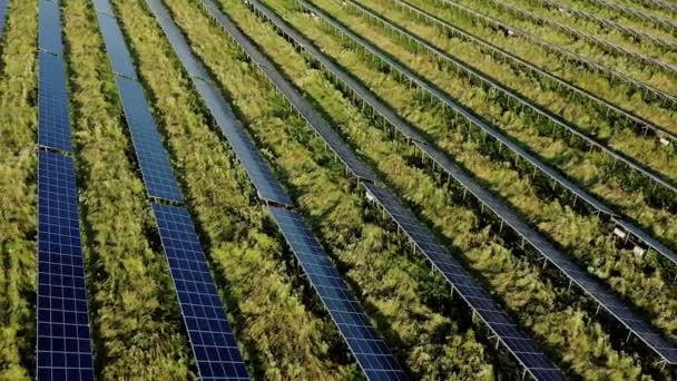 太陽光発電所の眺め 太陽光パネルの列 太陽光パネル トップビュー 太陽光発電所のトップビュー 再生可能資源のテーマに関する産業背景 発電所 — ストック動画
