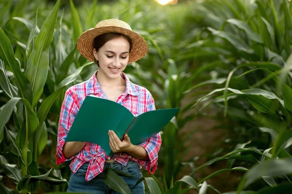 Farmář Složkou Stojí Kukuřičném Poli Kontroluje Růst Zeleniny Zemědělství Produkce — Stock fotografie