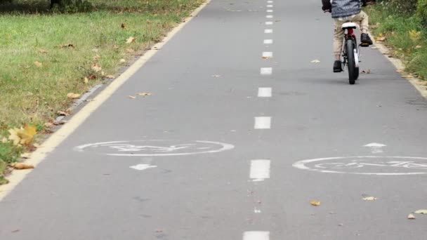 公園の自転車道を自転車で走るヘルメットの男の子 — ストック動画