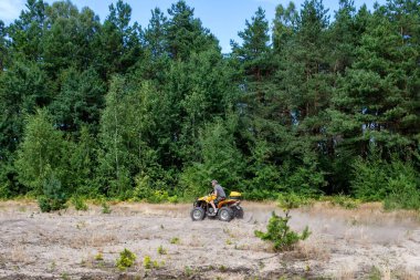 Sarı dörtlü Atv'ye binen adam kumlu bir ormanda tüm arazi aracına biniyor. Ekstrem spor hareketi, macera, turistik