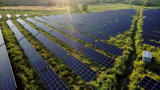 Zicht Een Zonnecentrale Rijen Zonnepanelen Zonnepanelen Bovenaanzicht Bovenaanzicht Van Een — Stockvideo