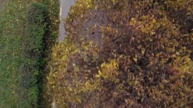 Sonbahar parkında bisiklet süren hava manzaralı çocuk. Aktif aile eğlencesi. Şehir bisiklet yolunda bisiklet gezintisi. Sağlıklı bisiklet yaşam tarzı