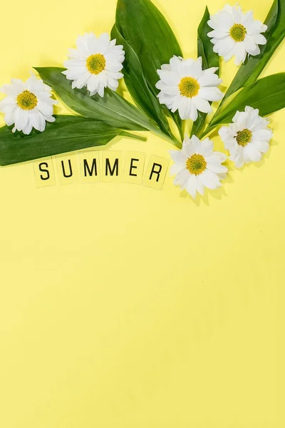 Text Summer Från Bokstäver Och Fält Kamomill Blommor Gul Bakgrund — Stockfoto