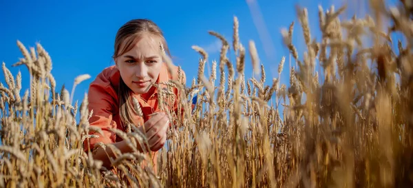 Rolnik Sprawdza Postępy Polu Pszenicy Inspektor Agronomist Który Bada Plantację — Zdjęcie stockowe