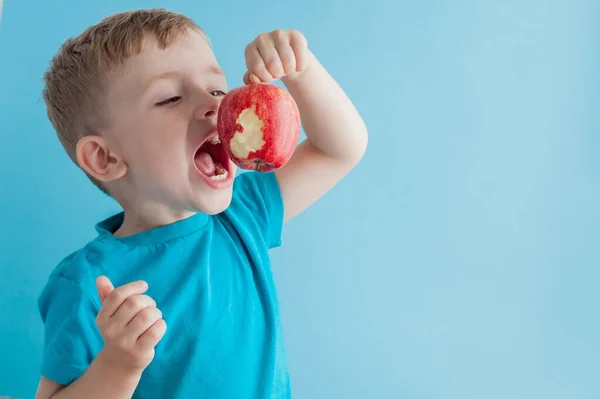 Criança Segurando Comendo Maçã Vermelha Fundo Azul Comida Dieta Conceito — Fotografia de Stock