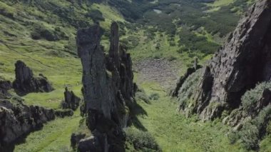 Karpatya dağlarındaki Spitz dağının kayalık zirvesi, yaz dağlarının manzarası.