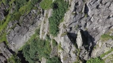 Karpatya dağlarındaki Spitz dağının kayalık zirvesi, yaz dağlarının manzarası.