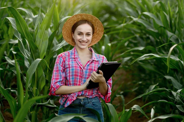 Young Handsome Agriculture Engineer Standing Corn Field Tablet Early Summer — Stock Photo, Image