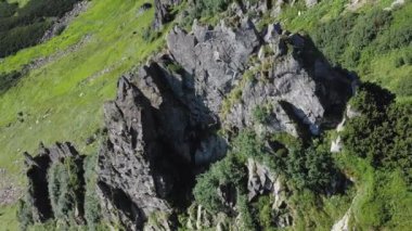 Karpatya dağlarındaki Spitz dağının kayalık zirvesi, yaz dağlarının manzarası.