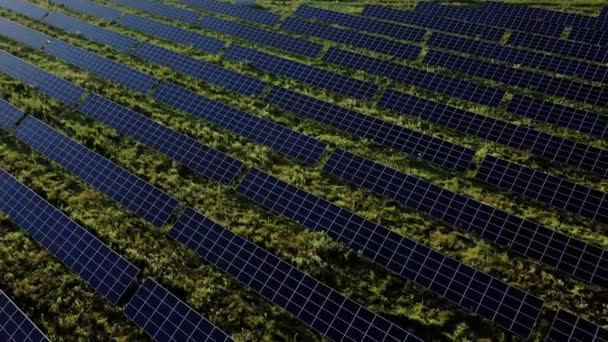 Вид Сонячну Електростанцію Ряди Сонячних Панелей Сонячні Панелі Вид Зверху — стокове відео